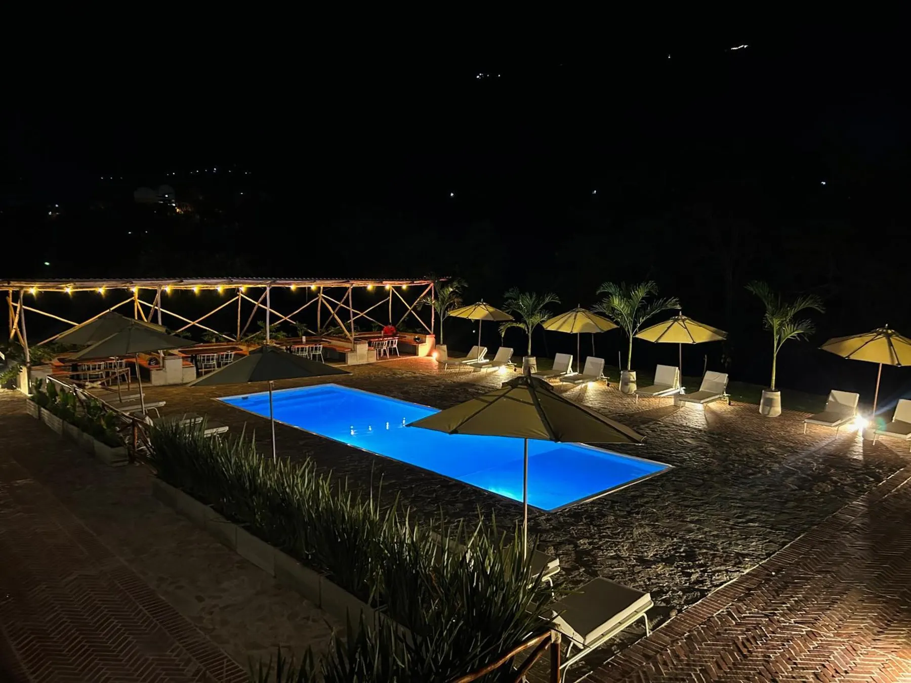 Piscina y sombrillas de Trip Monkey Del Río de noche