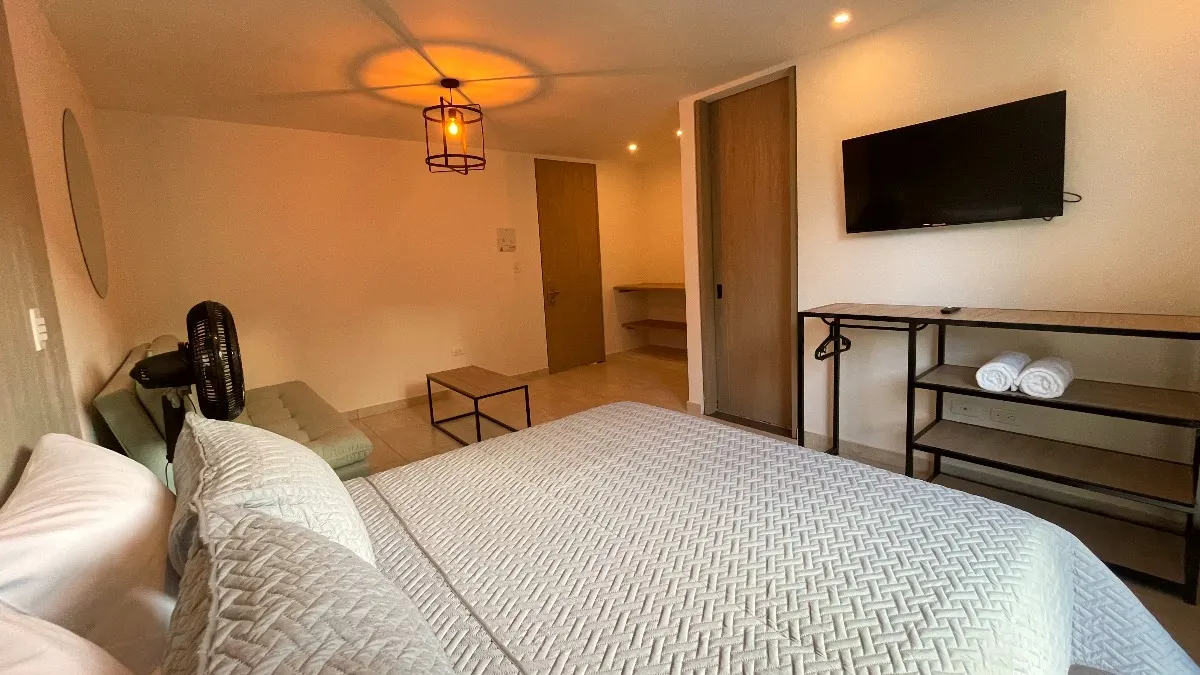 Habitación Doble grande con cama amplia y televisor en Trip Monkey Del Río