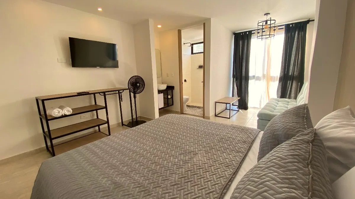 Habitación doble con vista a la calle y baño privado en Trip Monkey Del Río